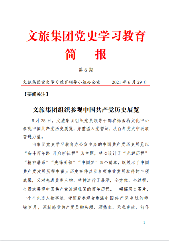 文旅集团党史学习教育简报（第6期）