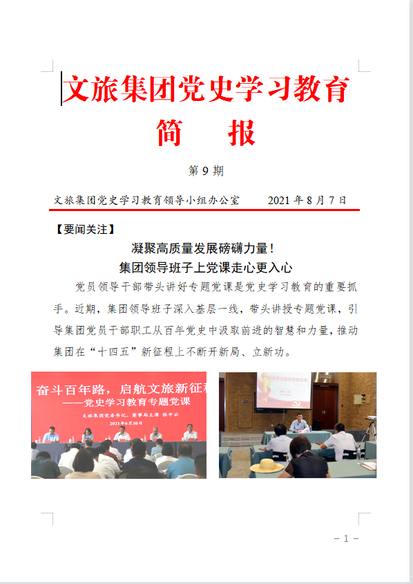 文旅集团党史学习教育简报（第9期）