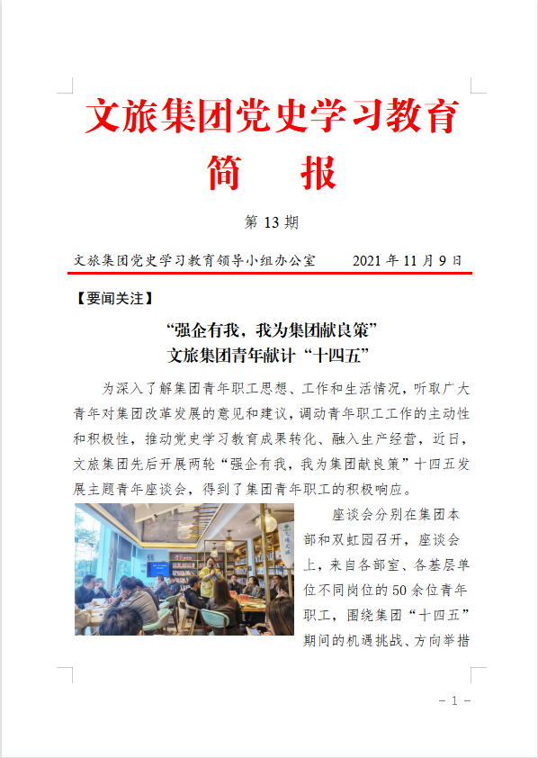 文旅集团党史学习教育简报（第13期）